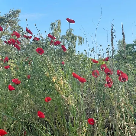 Ferienhaeusschen Am See Pr Apartment *