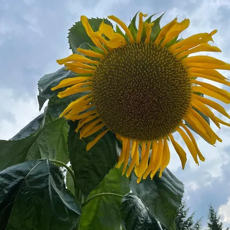 Ferienhaeusschen Am See Pr Apartment Karstadt (Prignitz)
