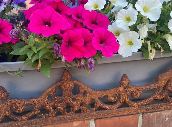 Ferienhaeusschen Am See Pr