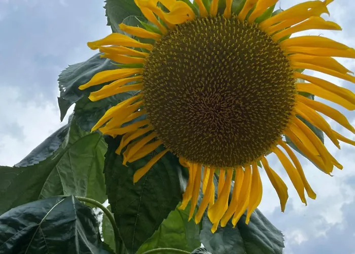 Ferienhaeusschen Am See Pr شقة Karstädt